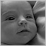 Tori Wolgin Family Photography